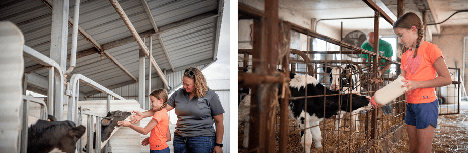 Two photos by Chad Holder show a young girl working with calves