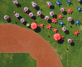 A field with umbrellas