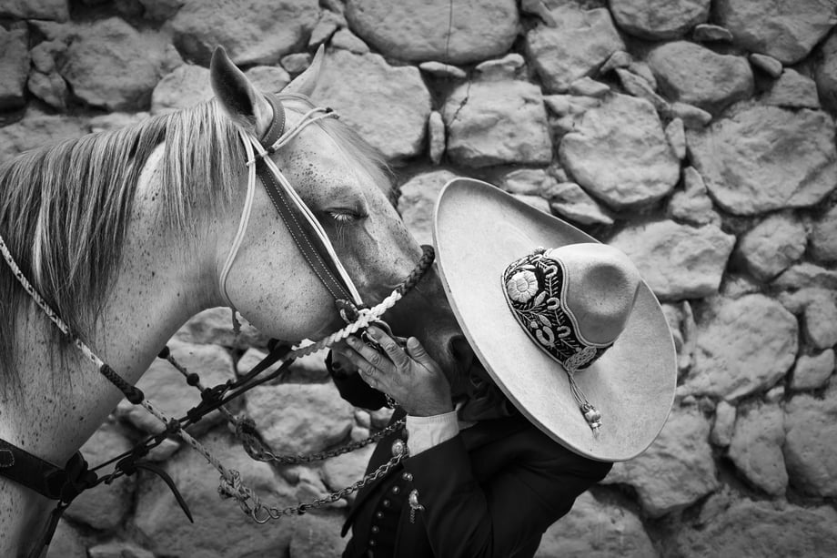 Nicole Franco snapped a tender moment where a Charro nuzzles his horse's face