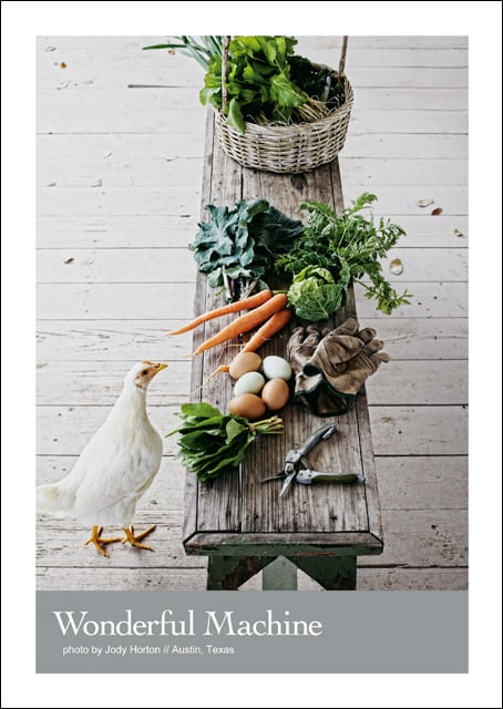 Jody Horton, organic, farms, chicken with vegetables, print promo