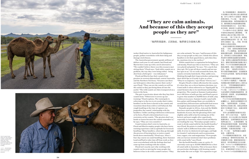 Camel feature for Aspire Magazine by Mark Lehn