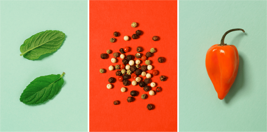 Photos by Hudson Stuart of fruits and vegetables on complimentary-colored backgrounds.