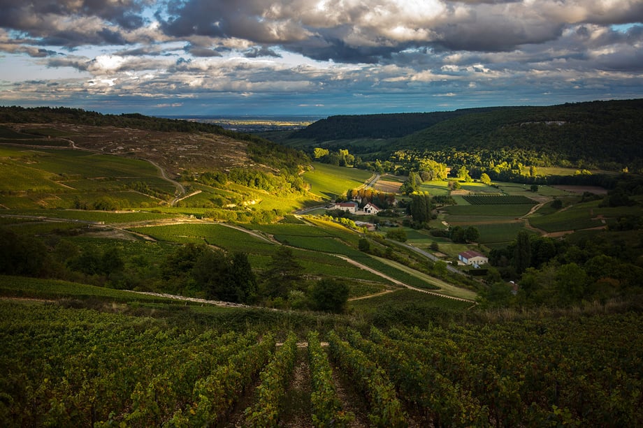 Photo of Domaine de Cromey winery and chateau in the heart of France shot by photographer Rocco Ceselin.