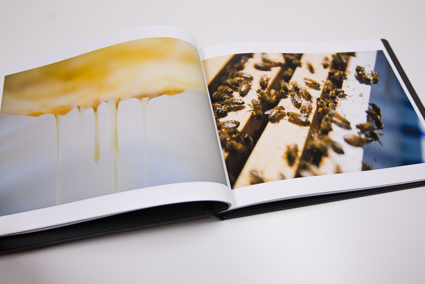 Honey and bee photos in Lauren V. Allen's portfolio edited by Molly Glynn