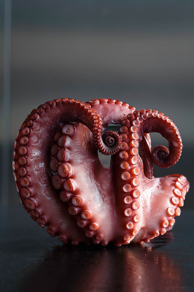 Momo octopus dish; photograph by Dan Perez