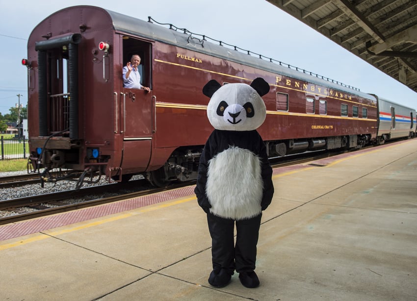 Bryan Regan photo of Sideshow Panda at a train station