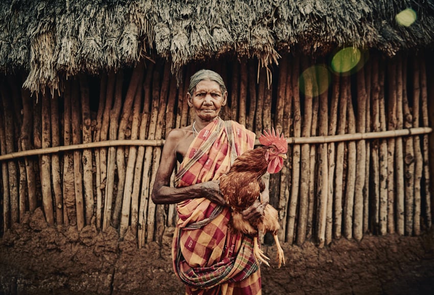 Indian woman with rooster by Paul Nordmann