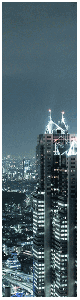 Aerial image of the Park Hyatt Tokyo by New York-based travel photographer Raymond Patrick.