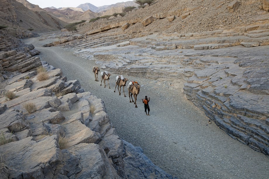 Four camels and a man walking through a narrow desert valley, photo by Luke Duggleby