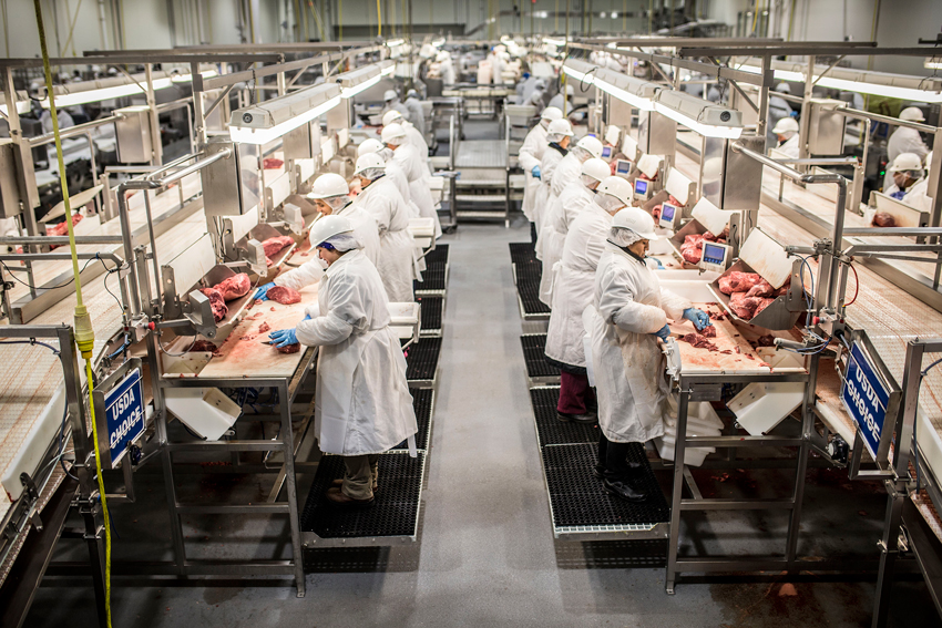standard meat, raw meat, tadd myers photography, standard meat production facilities, amazing raw beef, meat production, water laser cuter chicken