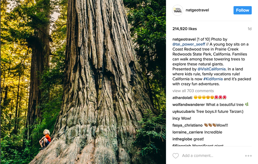 national geographic, instagram, tai power seeff, visit california, photography, landscape photographer, california redwood