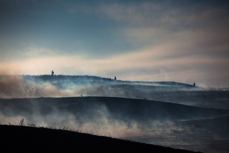 Landscape after a fire, photograph by Ryan Donnell