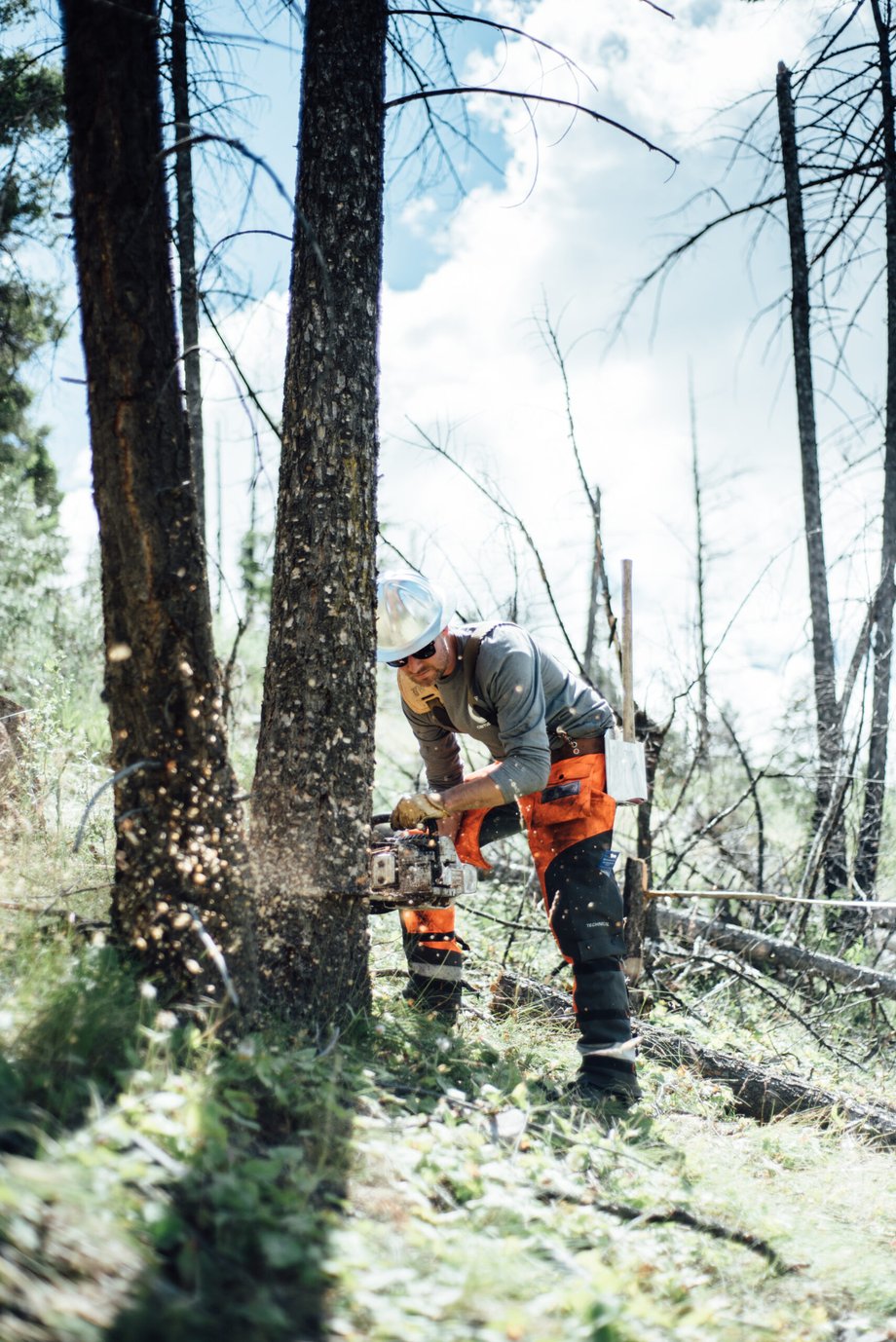 Isaac Miller photographs a crew member of the logging operation cutting down a tree in Montana.