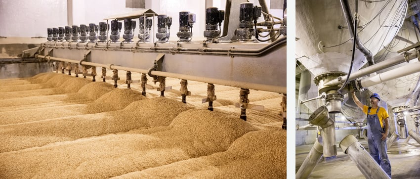 Photos of industrial barley manufacturing and processing for Great Western Malting.