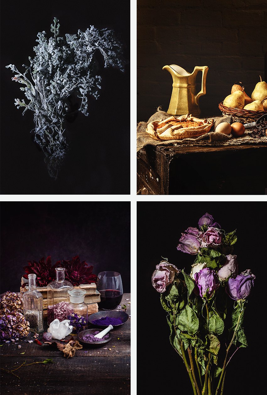 Dried flowers and still-life sets shot by Terry Vine for Ad Photographers Worldwide