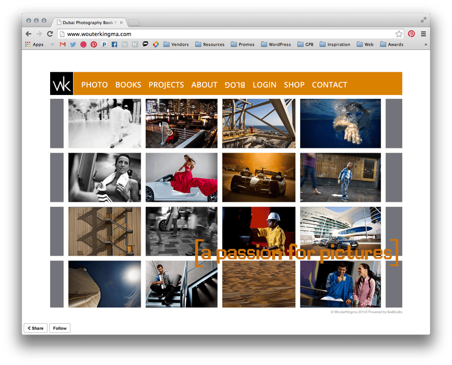 Screenshot image of Wouter Kingma website before the we edit.