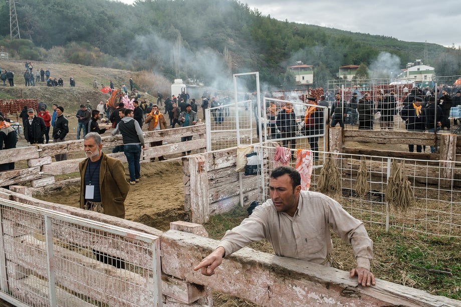 Camel wranglers prepare themselves and their equipment before the start of the  35th annual Selçuk Camel Wrestling Festival shot by Bradley Secker featured in the New York Times