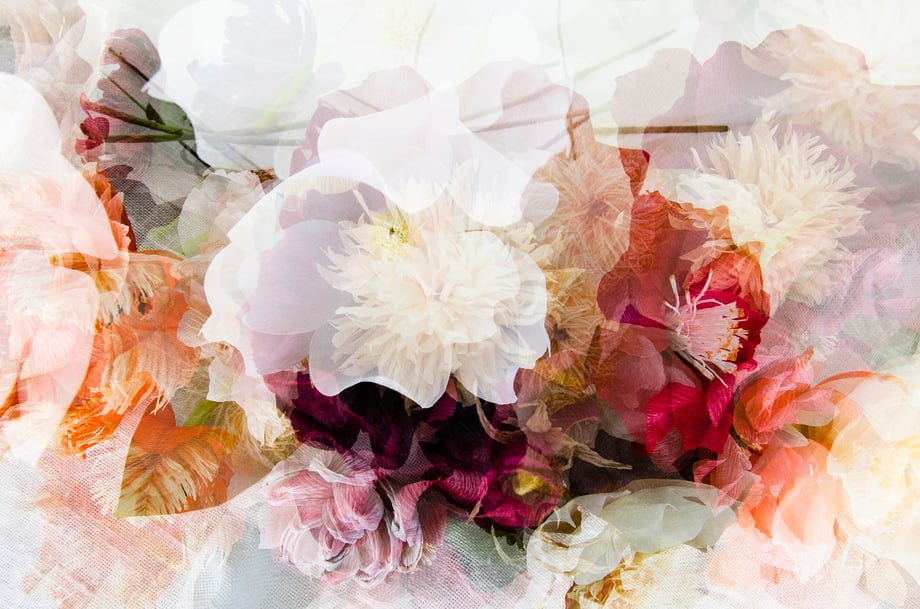 Irene Peña's series featuring paper flowers by Angela Hurtado Pimentel