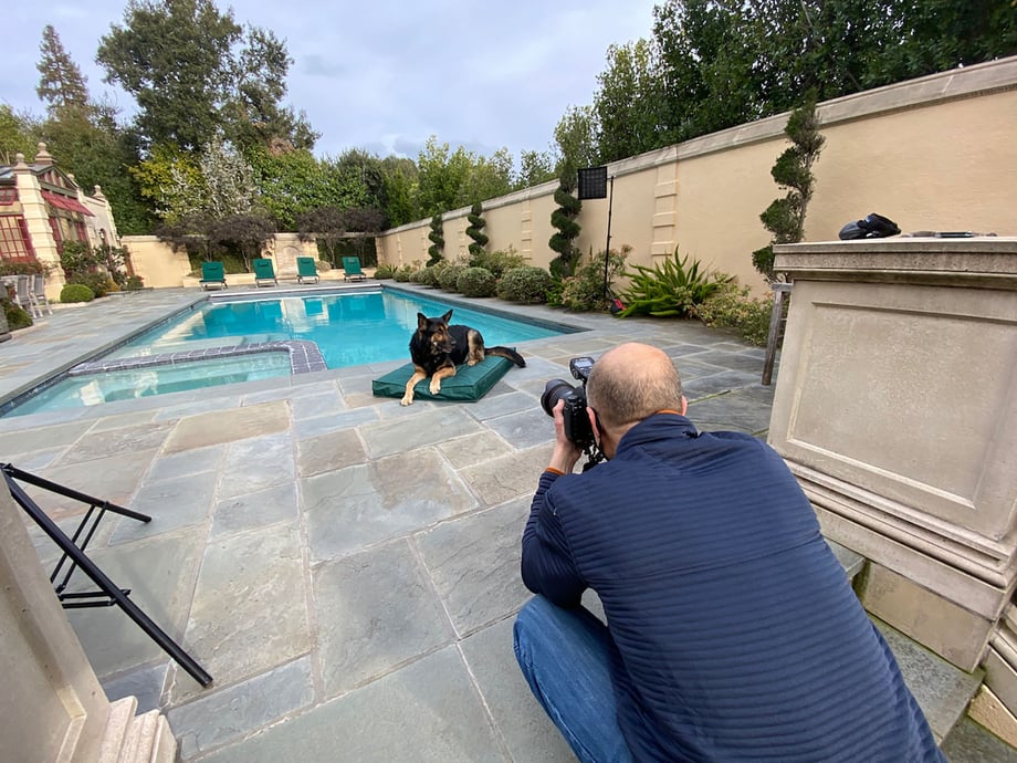 Behind-the-scenes shot of Mark Rogers shooting Bismark in his backyard pool for BarkBox