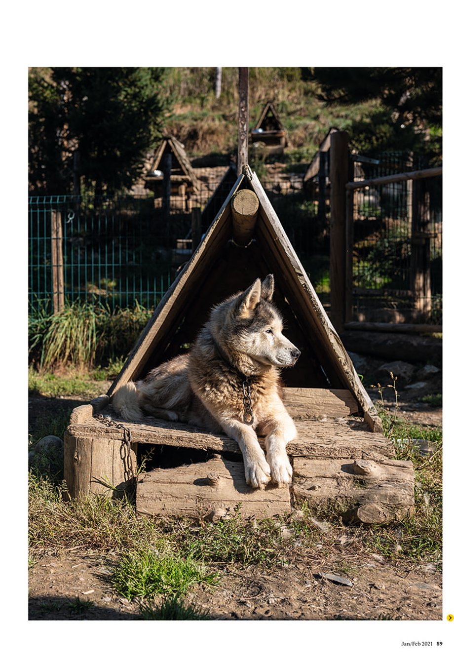 Tearsheet of Husky dog from National Geographic Traveller in the French Pyrenees featuring images shot by Markel Redondo
