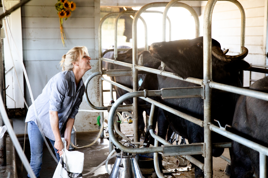 Farmer smiles at her cows while milking shot by Angela DeCenzo for National Geographic Traveller Food magazine