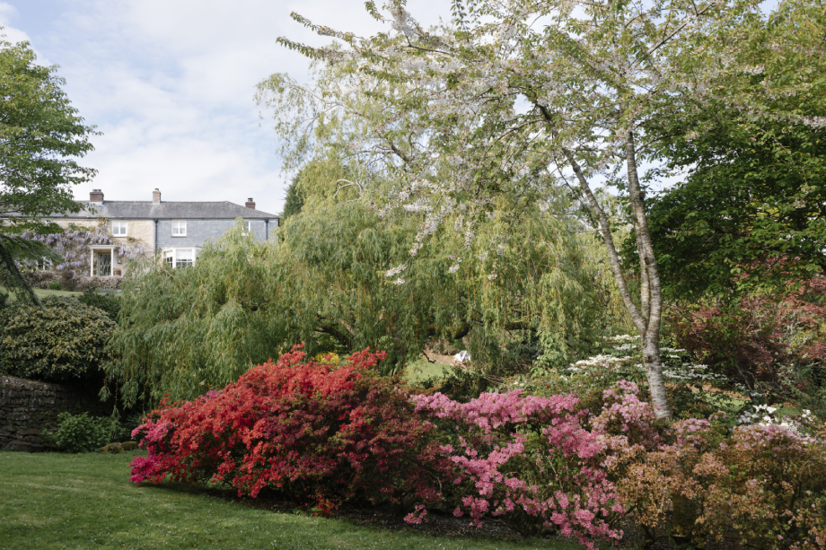 Exterior shot of the garden at Robert Carslaw's Cornwall home shot by Anya Rice for Home & Garden magazine
