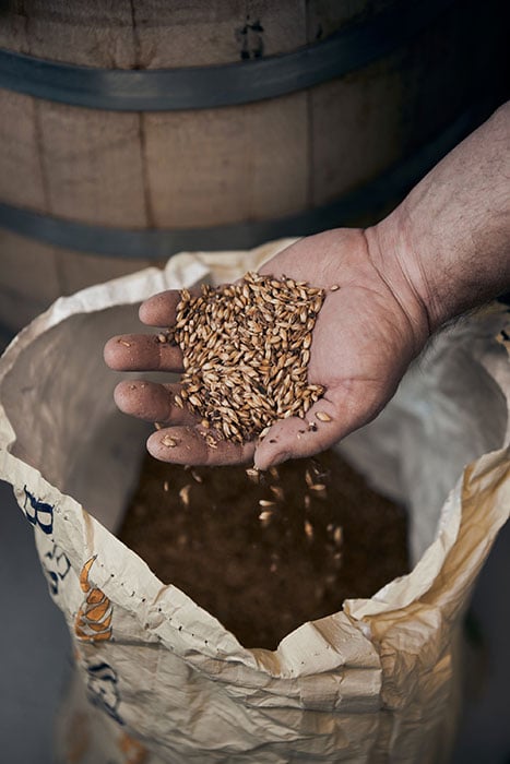 A brewer holds grains in his hands. Photographed by CJ Foeckler for Spike Brewing.  
