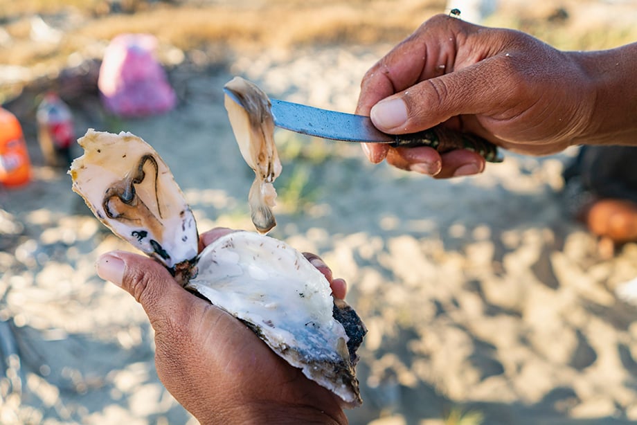 Surfing and eating oysters on the beach. Photography by Dalton Johnson. 