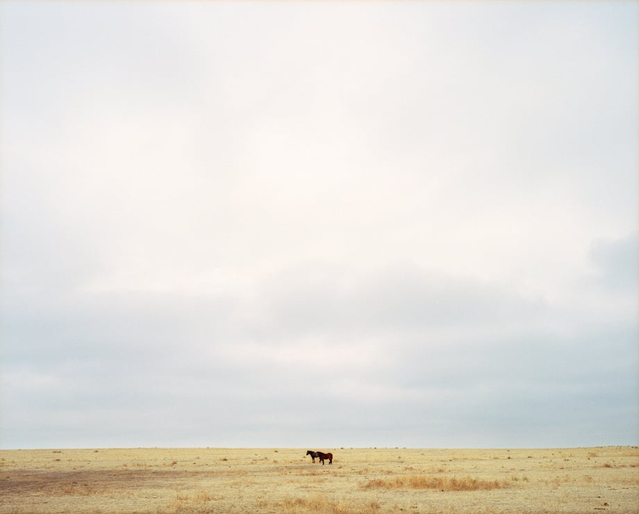 Photographer Dan Bigelow Creative in Place: Life on the Ranch
