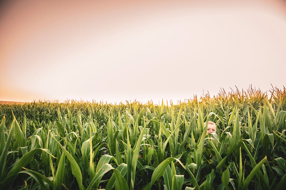A kids looks through a corn field. Photography by Jason Elias