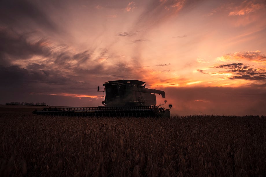 A field in North Dakota at dusk. Photography by Jason Elias