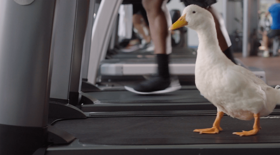 A still from John Fulton's commercial with the Aflac duck.