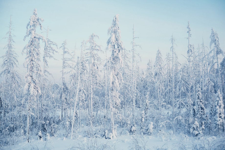 Creative in Place: Winter Wonderland! photographer Julian Walter
