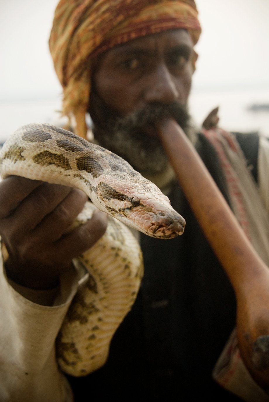 Man holding snake shot by Michael Marquand for Lodestars Anthology