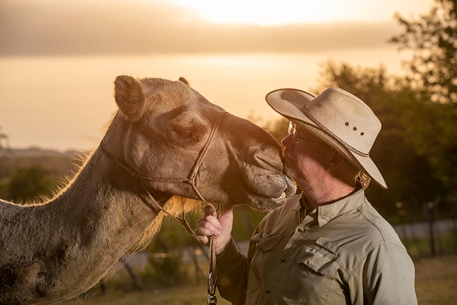 Richard the camel gets a kiss grom Texas Camel Corps owner Doug Baum. Photography by Scott Van Osdol.