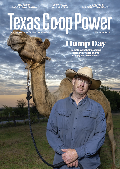 Cover for Texas Co-op Powers electric cooperative members featuring Doug Baum photography by Scott Van Osdol