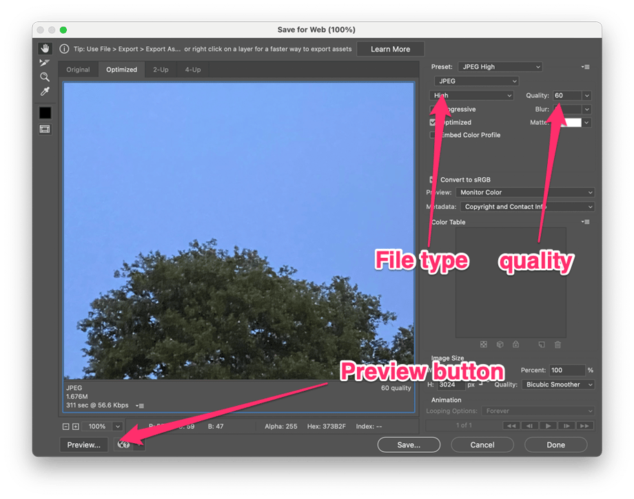 Screenshot of Photoshop's Export for Web function with attention to three settings