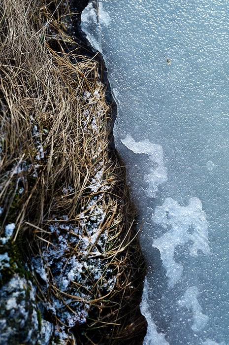 close up of snow and frost shot by Øivind Haug