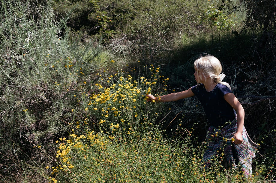 Girl forages in Carpinteria, Calif. shot by Mikaela Hamilton for the Women's Heritage Sourcebook