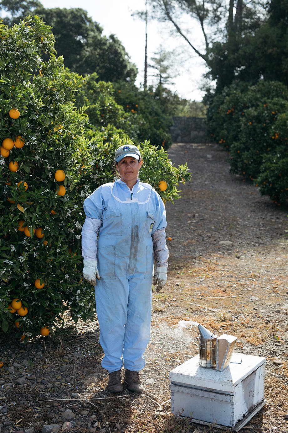 Portrait of a beekeeper in suit shot by Mikaela Hamilton for the Women's Heritage Sourcebook.
