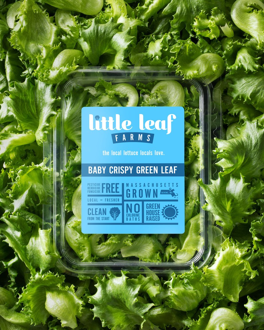 Adam DeTour Little Leaf Farms Lettuce