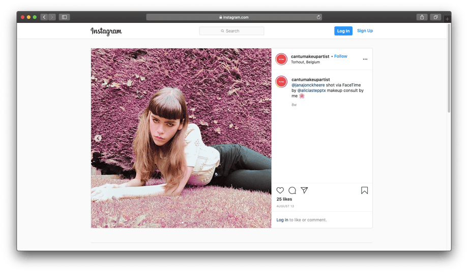 Screen capture of a photo by Alicia Stepp of a model sitting on pink grass on Instagram.