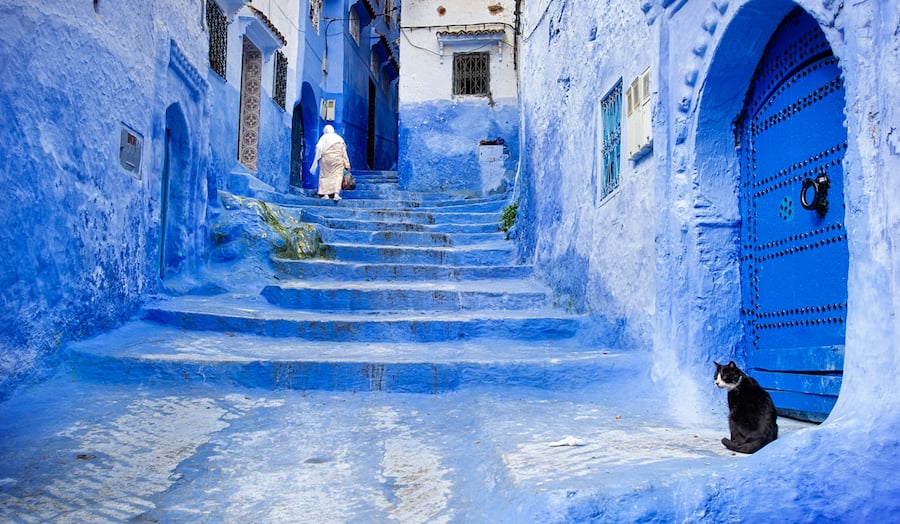 A woman in all white walks through the beautiful blue streets of Chefchaouen, Morocco as a cat sits nearby by photographer Bill Purcell of Olympia, Washington