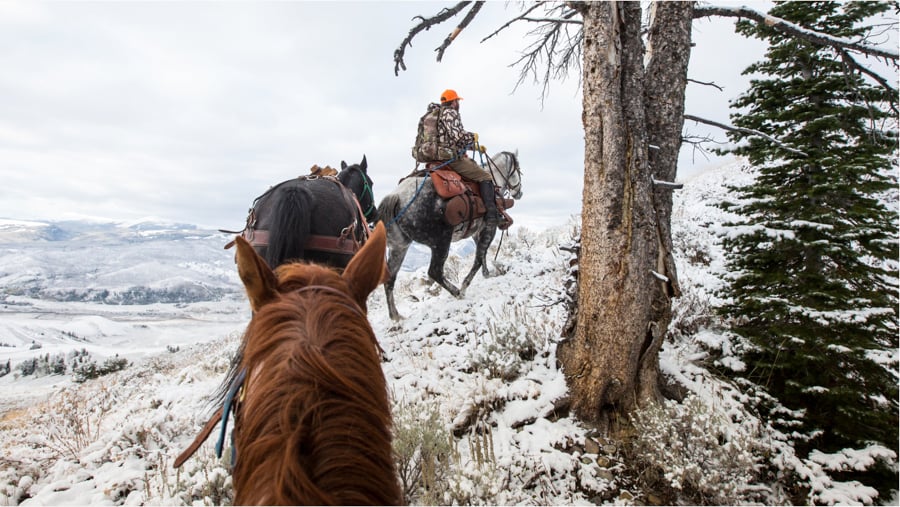 Image of three packhorses and riders by Lander, Wyoming-based Craig Okraska. 