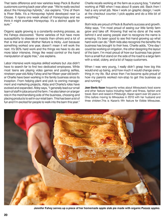 Sara Stathas' photo of a homemade apple slab pie made by Jennifer Fahey in this tear sheet