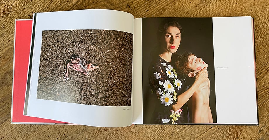 An image of Midlife open to a spread of two images - one of an animal carcass and the other of a woman and child.