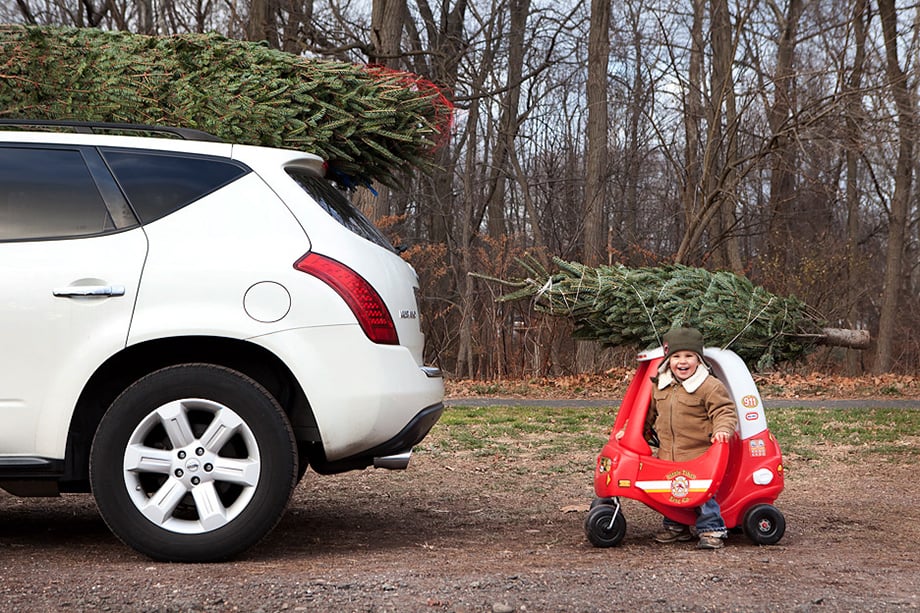 Behind the scenes with a smiling child the has a little car with a tree behind a big car with a tree