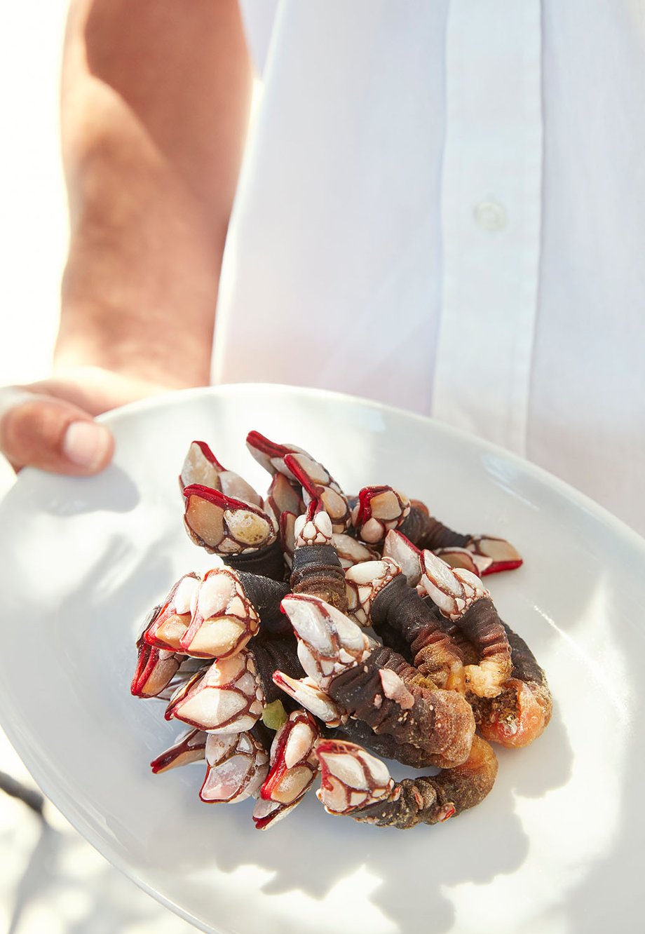 Richard James Taylor photographs seafood from the Algarve for National Geographic Traveller