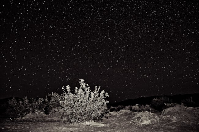 Rickett & Sones shot of stars in night sky