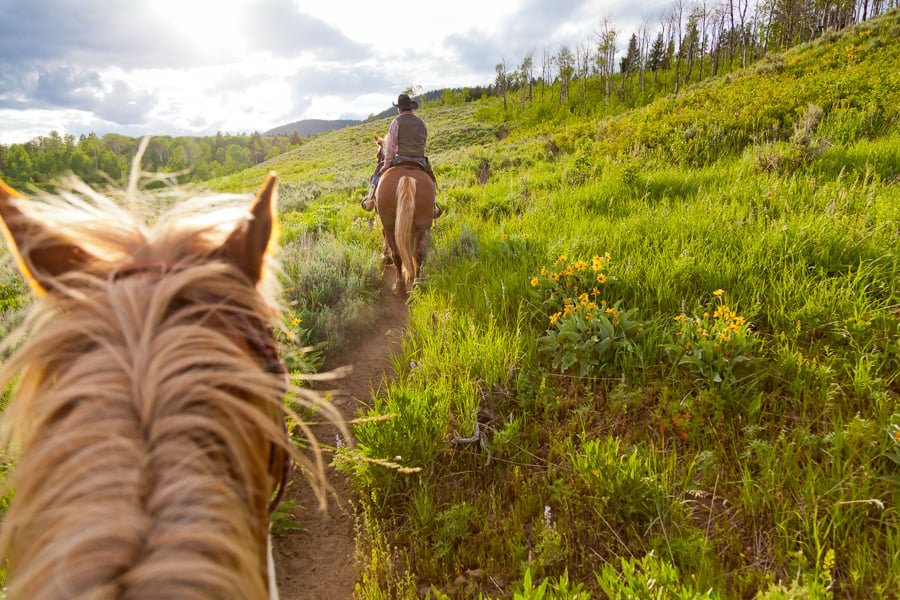 Image of two horseback riders traveling through a green hillside by Portland, Oregon-based photographer Susan Seubert.